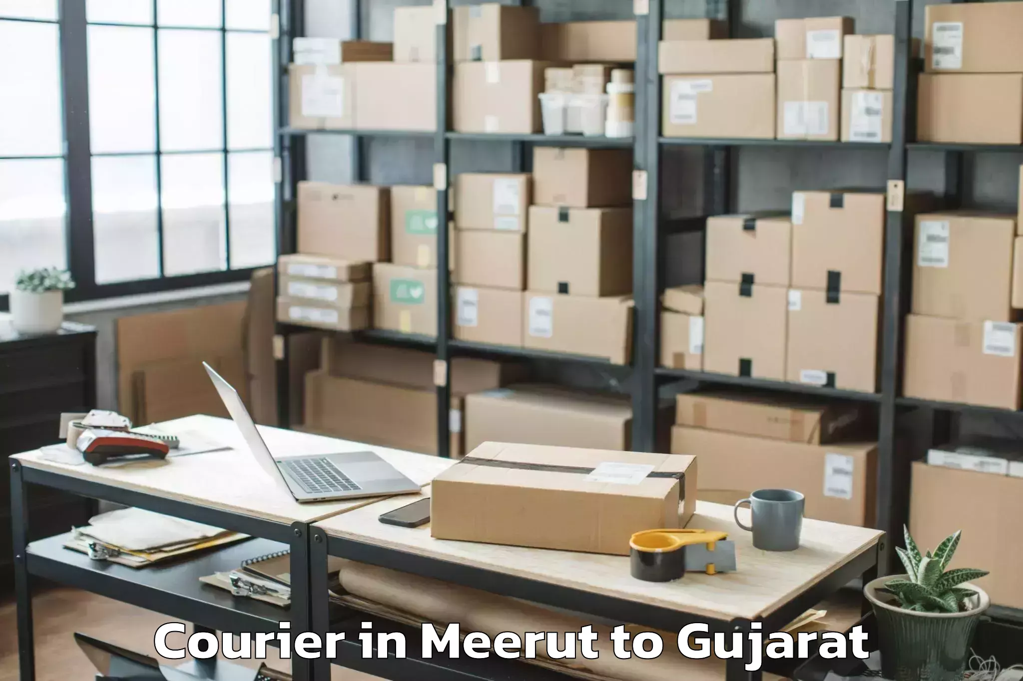 Reliable Meerut to Vaghodia Ina Courier